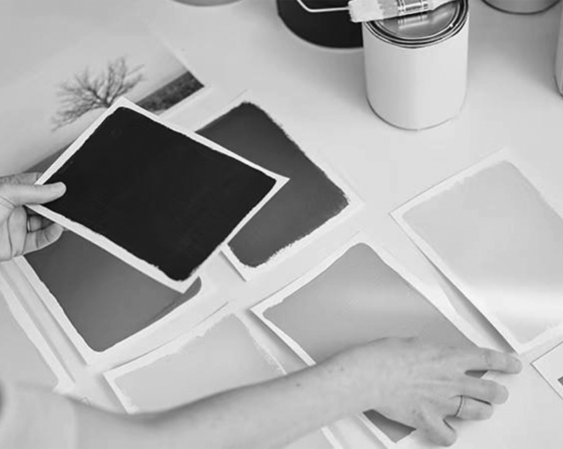 CF26 paletas de tendencias & herramientas para profesionales