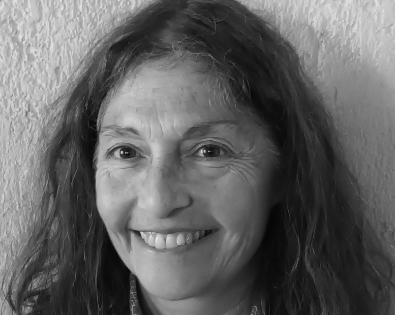 diseño y comunicación como mediadores entre consumidor e industria (1950-1970)